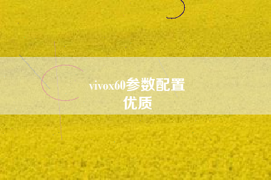 vivox60参数配置
优质  第57张