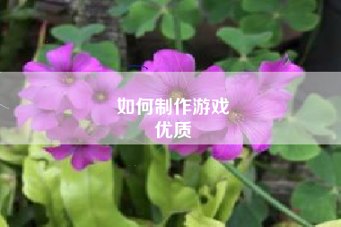 如何制作游戏
优质  第85张