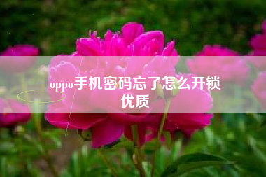 oppo手机密码忘了怎么开锁
优质  第74张