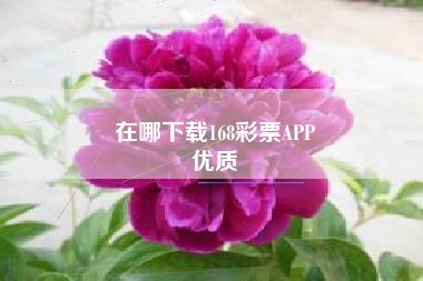 在哪下载168彩票APP
优质  第77张