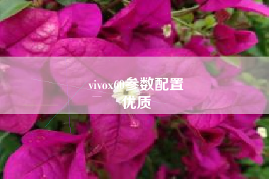 vivox60参数配置
优质  第56张