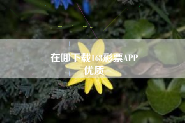 在哪下载168彩票APP
优质  第76张