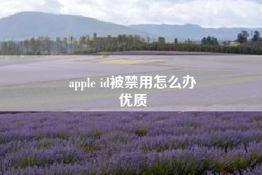 apple id被禁用怎么办
优质  第41张