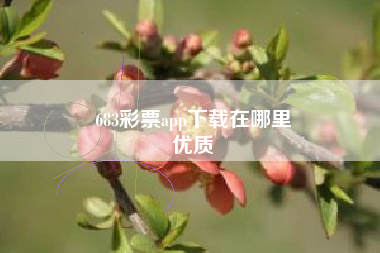 683彩票app下载在哪里
优质  第66张