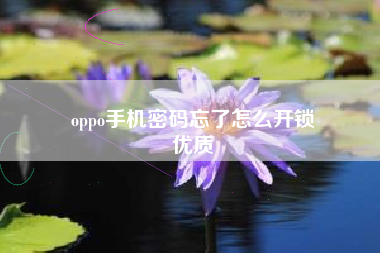 oppo手机密码忘了怎么开锁
优质  第72张