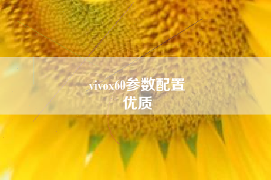 vivox60参数配置
优质  第54张