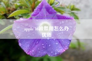 apple id被禁用怎么办
优质  第39张