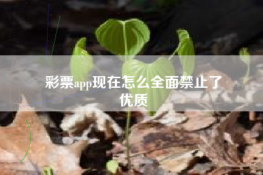 彩票app现在怎么全面禁止了
优质  第59张