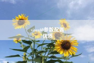 vivox60参数配置
优质  第52张