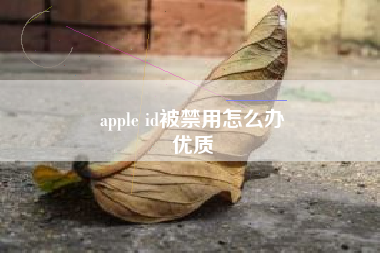 apple id被禁用怎么办
优质  第38张