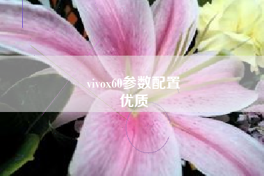 vivox60参数配置
优质  第51张