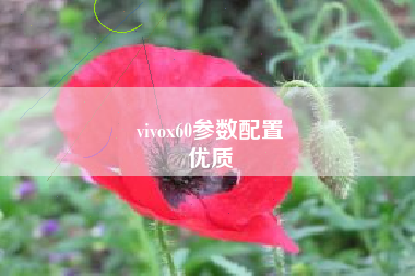 vivox60参数配置
优质  第50张