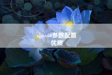 vivox60参数配置
优质  第49张