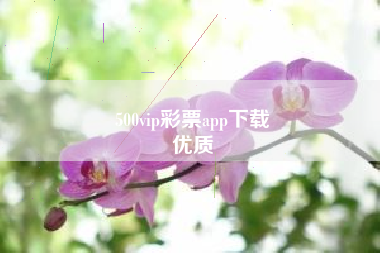 500vip彩票app下载
优质  第73张