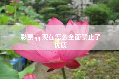 彩票app现在怎么全面禁止了
优质  第54张