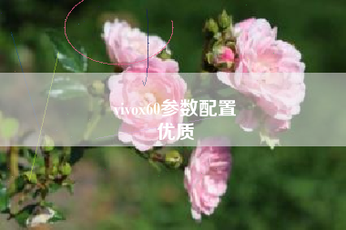 vivox60参数配置
优质  第48张