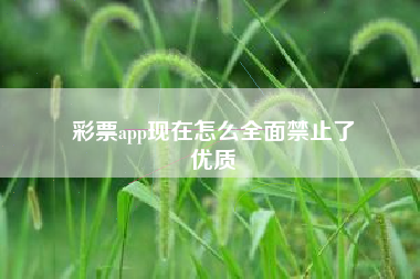 彩票app现在怎么全面禁止了
优质  第53张