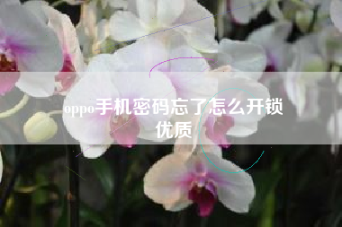 oppo手机密码忘了怎么开锁
优质  第65张