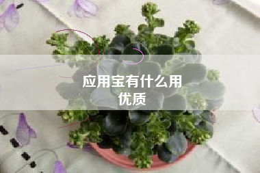 应用宝有什么用
优质  第72张