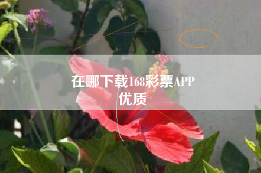 在哪下载168彩票APP
优质  第68张