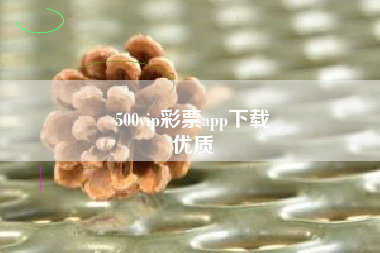 500vip彩票app下载
优质  第69张