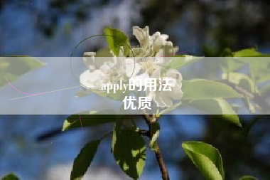 apply的用法
优质  第52张