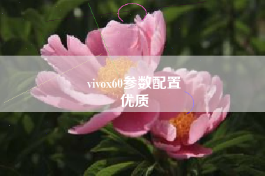 vivox60参数配置
优质  第46张