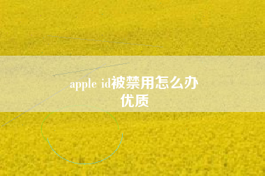 apple id被禁用怎么办
优质  第34张