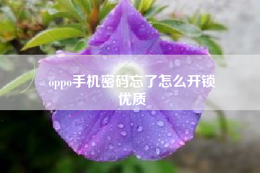 oppo手机密码忘了怎么开锁
优质  第64张