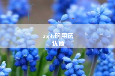 apply的用法
优质  第51张