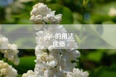 apply的用法
优质  第50张