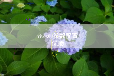 vivox60参数配置
优质  第45张