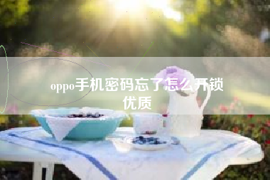 oppo手机密码忘了怎么开锁
优质  第63张