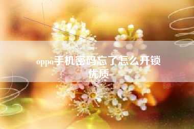 oppo手机密码忘了怎么开锁
优质  第62张