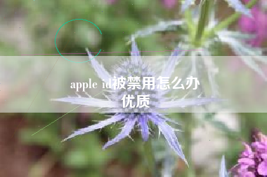 apple id被禁用怎么办
优质  第33张