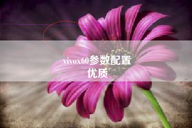 vivox60参数配置
优质  第43张