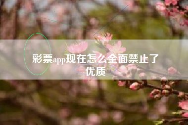 彩票app现在怎么全面禁止了
优质  第47张