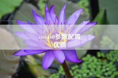 vivox60参数配置
优质  第42张