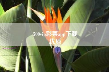 500vip彩票app下载
优质  第64张