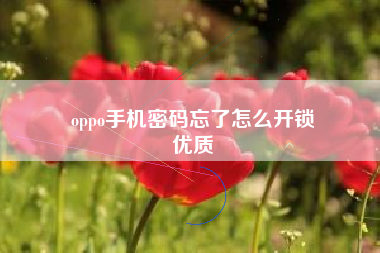 oppo手机密码忘了怎么开锁
优质  第57张