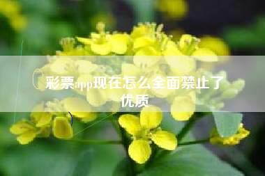 彩票app现在怎么全面禁止了
优质  第45张