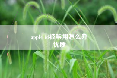 apple id被禁用怎么办
优质  第30张