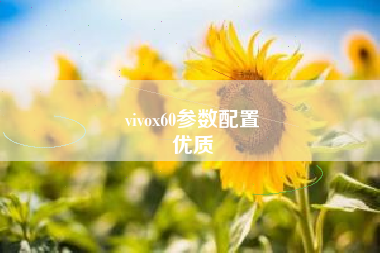 vivox60参数配置
优质  第36张