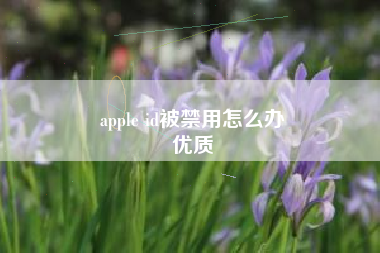 apple id被禁用怎么办
优质  第29张