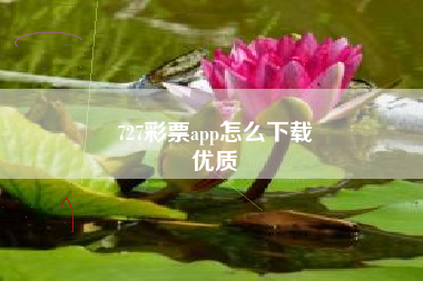 727彩票app怎么下载
优质  第51张