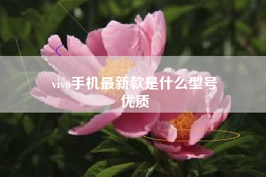 vivo手机最新款是什么型号
优质  第37张