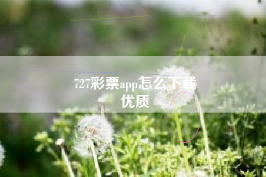 727彩票app怎么下载
优质  第50张