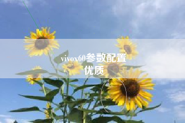 vivox60参数配置
优质  第35张