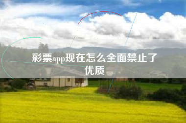 彩票app现在怎么全面禁止了
优质  第41张