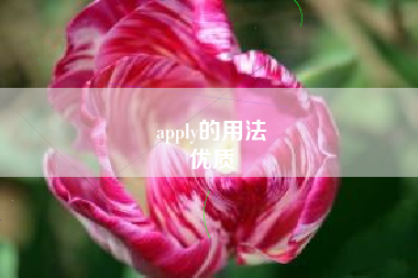 apply的用法
优质  第40张